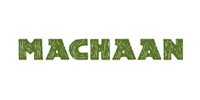 Machaan