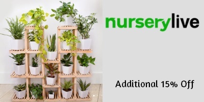 NurseryLive 