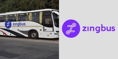 Zingbus